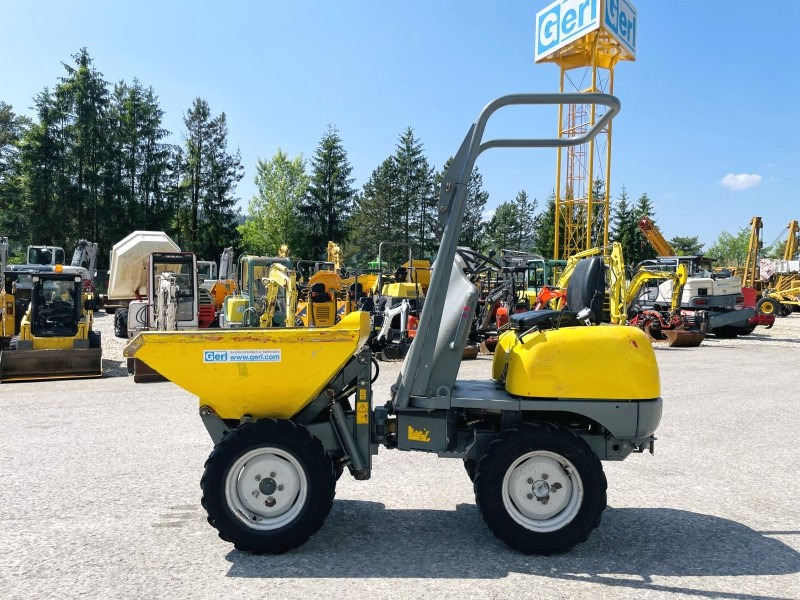 Neuson 1001 (3631) - Mini dumper: picture 1 Neuson 1001 (3631) - Mini dumper: picture 1