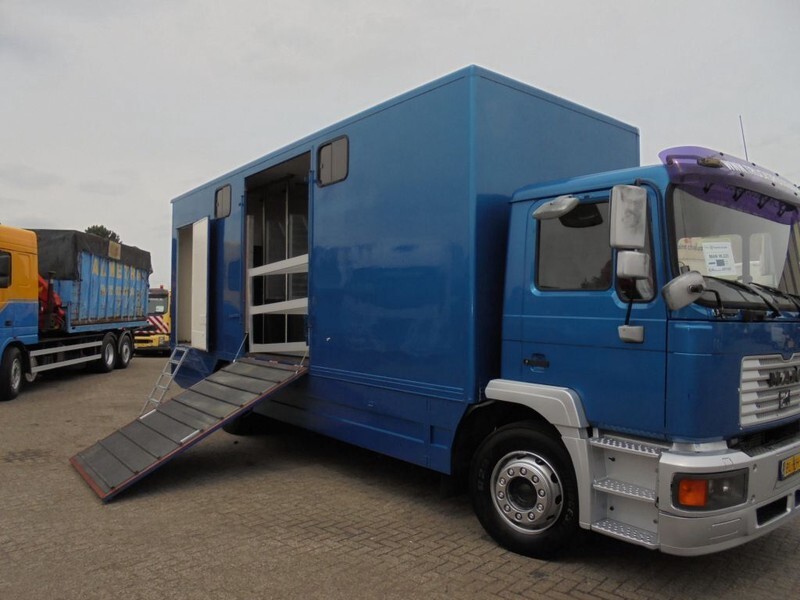 MAN 12 .225 + MANUAL - Horse truck: picture 2 MAN 12 .225 + MANUAL - Horse truck: picture 2
