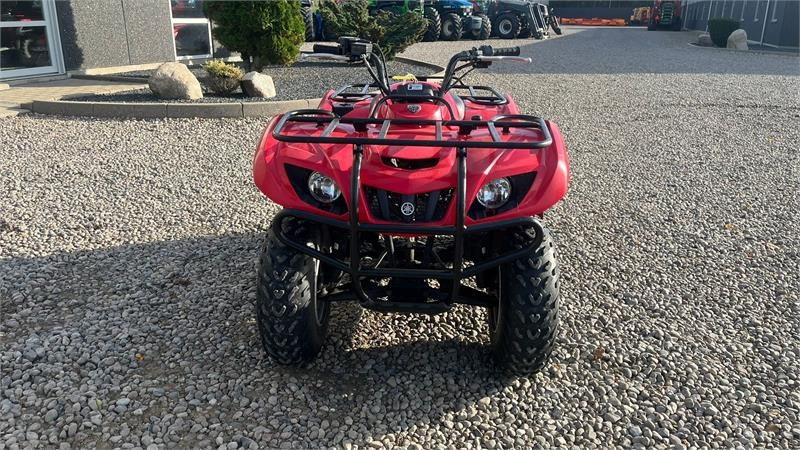 Yamaha Big bear 250 - Side-by-side/ ATV: picture 4 Yamaha Big bear 250 - Side-by-side/ ATV: picture 4