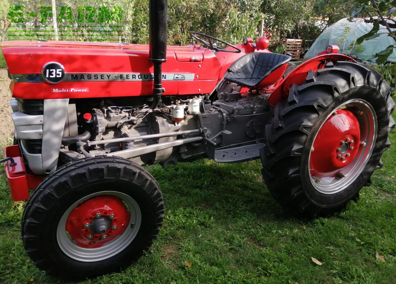 Massey Ferguson 135 - Farm tractor: picture 1 Massey Ferguson 135 - Farm tractor: picture 1