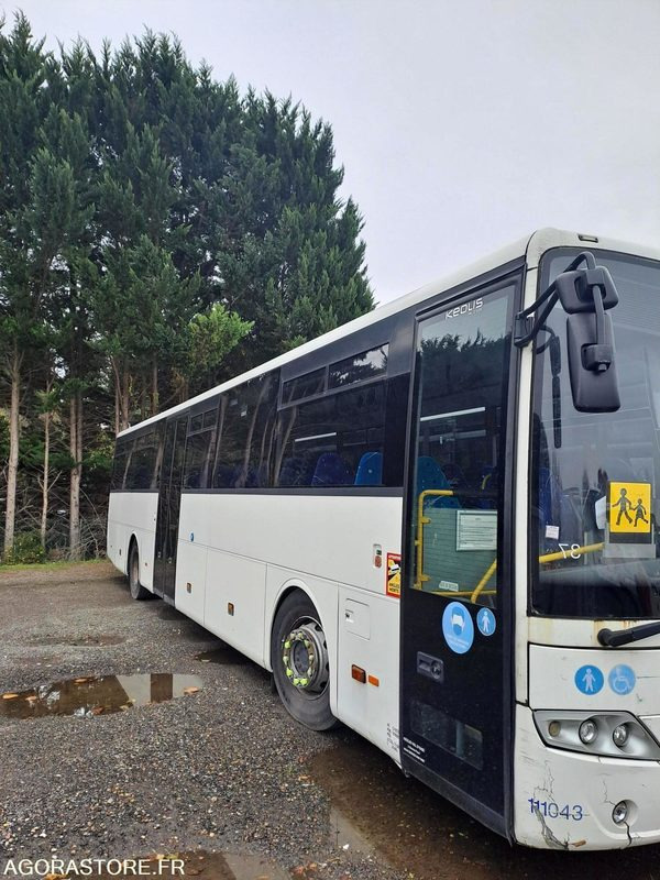 MERCEDES INTOURO N°111043 - School bus: picture 2 MERCEDES INTOURO N°111043 - School bus: picture 2