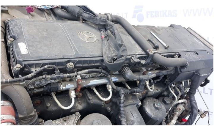 Engine for Truck Mercedes-Benz Actros MP4: picture 8