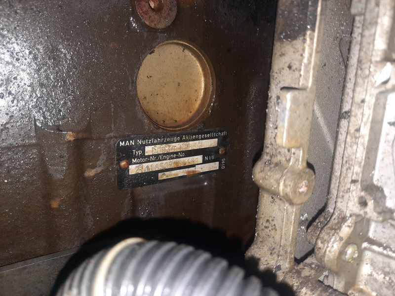 MAN D 0836 LOH56 - Engine: picture 5 MAN D 0836 LOH56 - Engine: picture 5