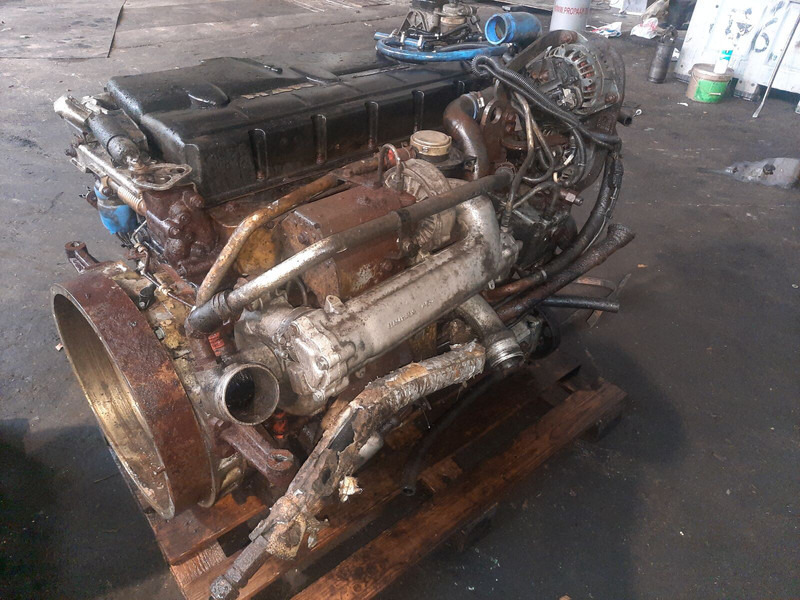 MAN D 0836 LOH56 - Engine: picture 2 MAN D 0836 LOH56 - Engine: picture 2