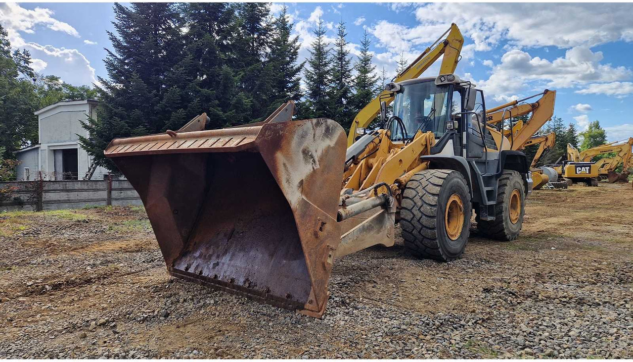 Liebherr 2011 LIEBHERR L550 WHEELED LOADER - Wheel loader: picture 1 Liebherr 2011 LIEBHERR L550 WHEELED LOADER - Wheel loader: picture 1
