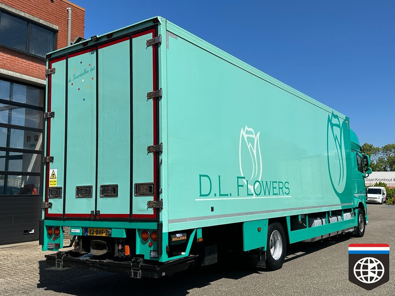 DAF XF 410 FA - Refrigerator truck: picture 5 DAF XF 410 FA - Refrigerator truck: picture 5