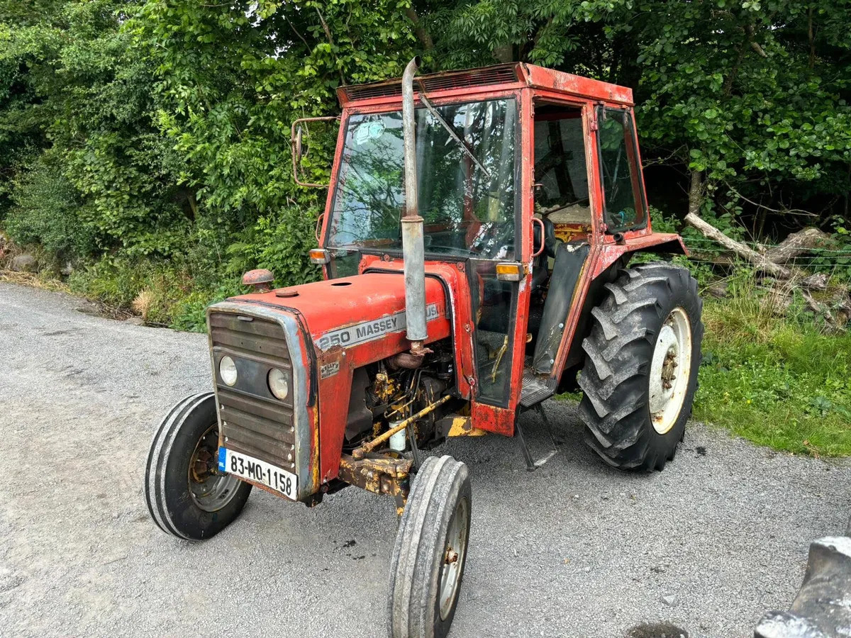 MF250 - Farm tractor: picture 3 MF250 - Farm tractor: picture 3