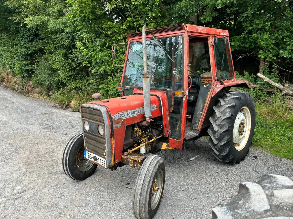 MF250 - Farm tractor: picture 1 MF250 - Farm tractor: picture 1