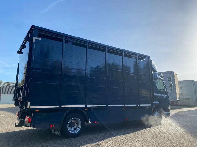 DAF LF 280 - Livestock truck: picture 3 DAF LF 280 - Livestock truck: picture 3