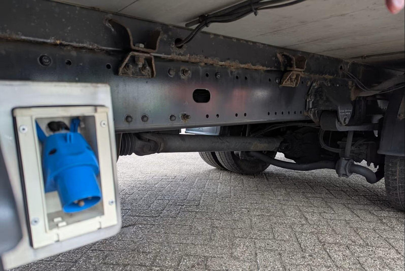 Horse truck MAN TGL 12.180 - Doka Horse transporter: picture 14