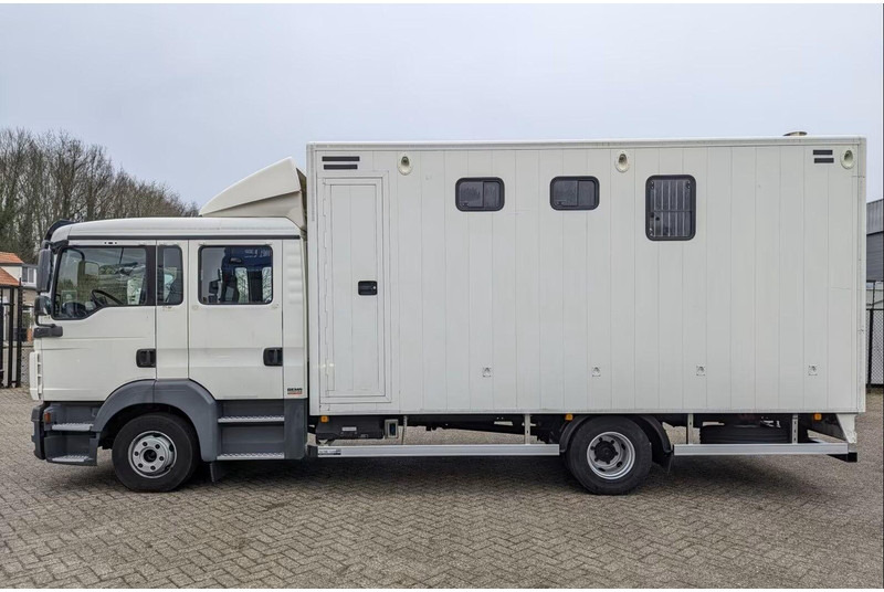 Horse truck MAN TGL 12.180 - Doka Horse transporter: picture 8