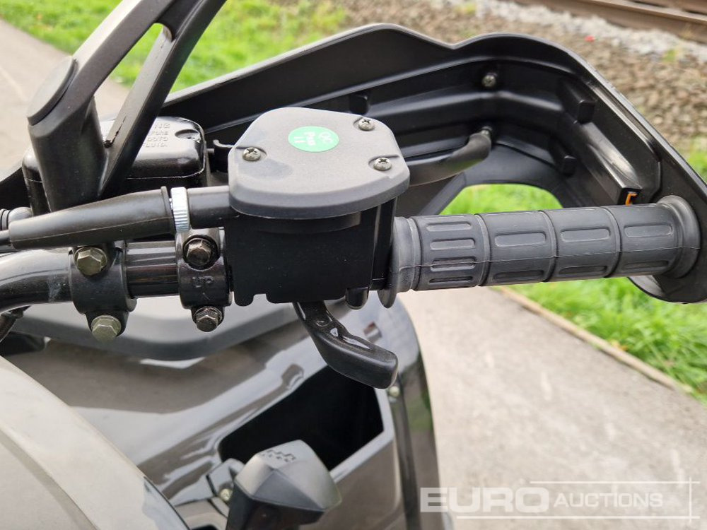 Side-by-side/ ATV Unused TAO Motors TGA300F: picture 24