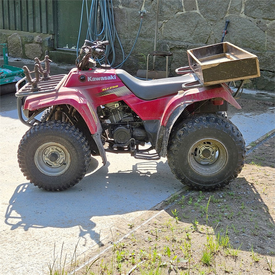 Kawasaki KLF 250 - Side-by-side/ ATV: picture 2 Kawasaki KLF 250 - Side-by-side/ ATV: picture 2