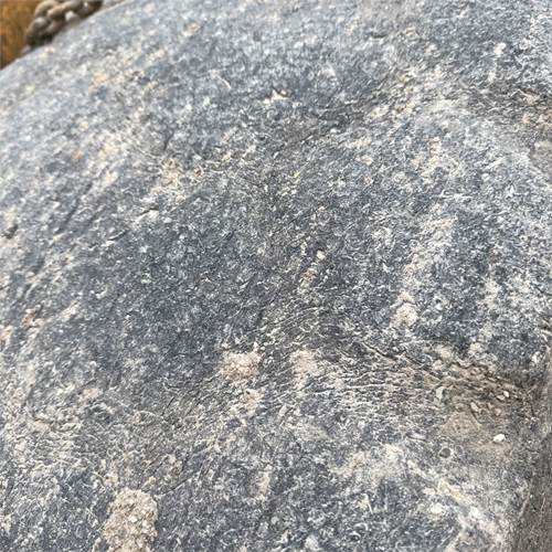 Wheel loader Liebherr L541: picture 33