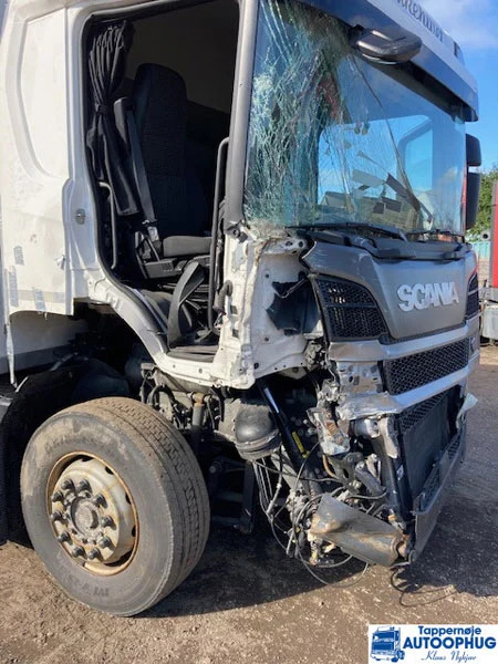 Box truck Scania P280 4×2 Box: picture 14 Box truck Scania P280 4×2 Box: picture 14