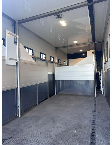 Scania P250 Horse Truck - Horse truck: picture 5 Scania P250 Horse Truck - Horse truck: picture 5