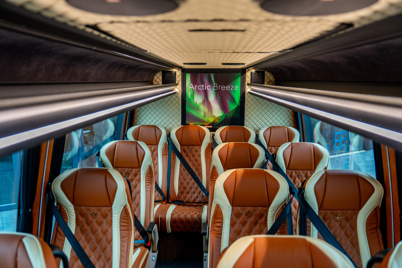 New Minibus, Passenger van MERCEDES-BENZ SPRINTER 519 CDI (MB BUSPERFECT): picture 19