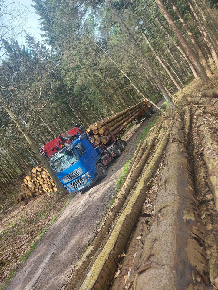 VOLVO FH16 700 6×4 - Log truck: picture 1 VOLVO FH16 700 6×4 - Log truck: picture 1