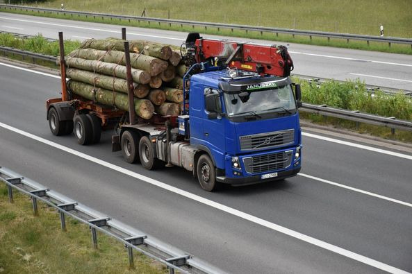 VOLVO FH16 700 6×4 - Log truck: picture 2 VOLVO FH16 700 6×4 - Log truck: picture 2