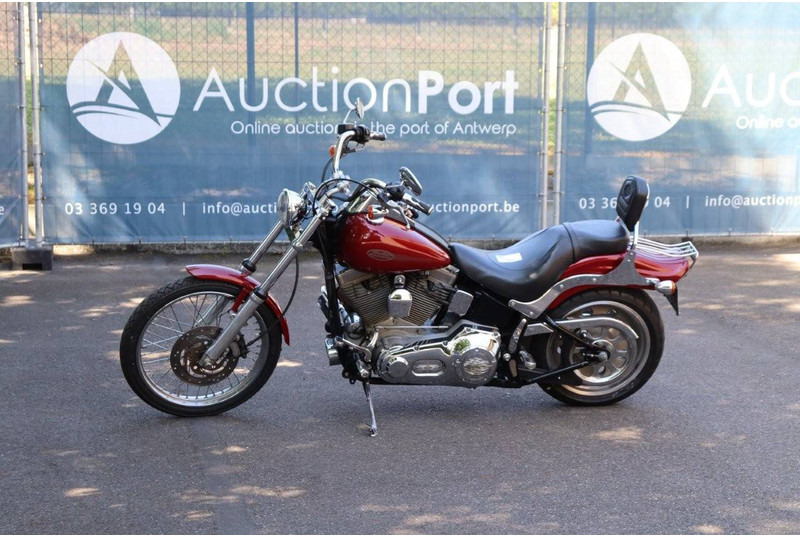 Harley-Davidson Softail Standard - Motorcycle: picture 1 Harley-Davidson Softail Standard - Motorcycle: picture 1