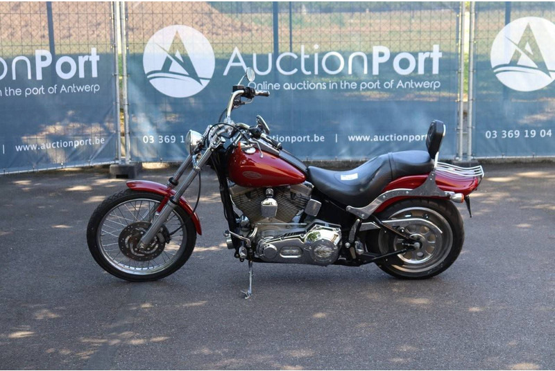 Harley-Davidson Softail Standard - Motorcycle: picture 2 Harley-Davidson Softail Standard - Motorcycle: picture 2