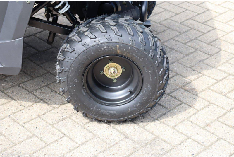 New Golf cart Wextrem UTV-ATV 200Pro: picture 15