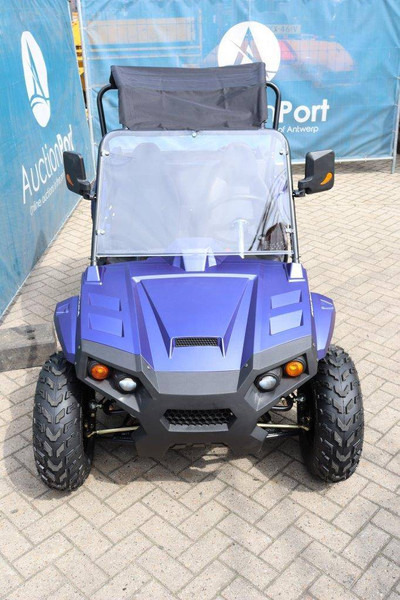 New Golf cart Wextrem UTV-ATV 200Pro: picture 7