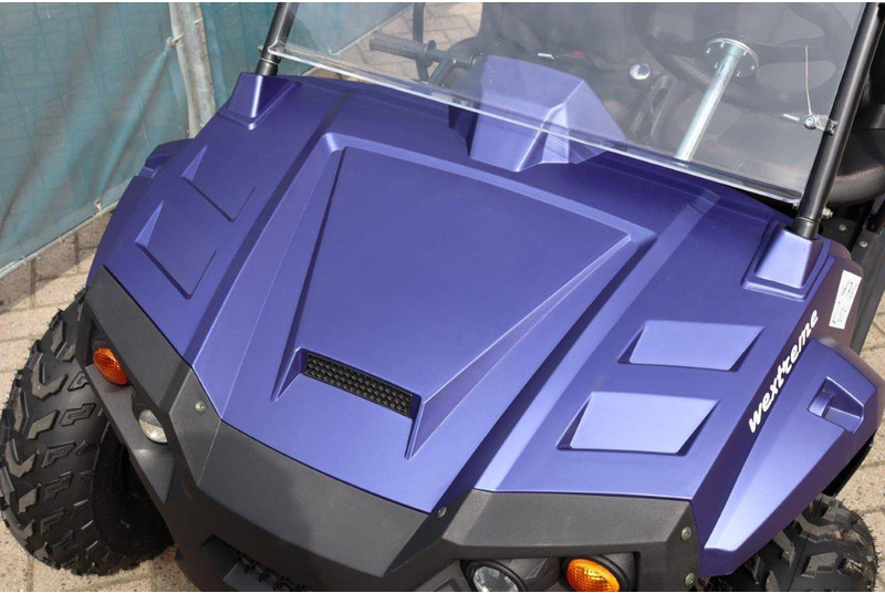 New Golf cart Wextrem UTV-ATV 200Pro: picture 10