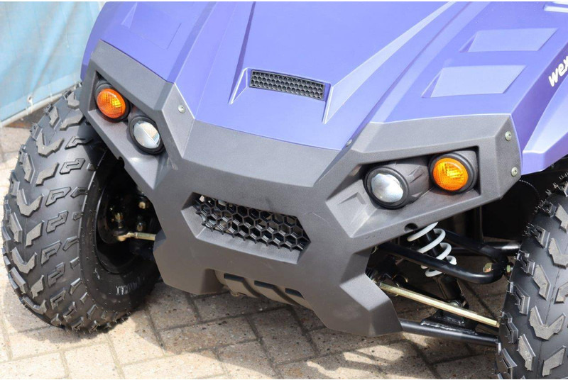 New Golf cart Wextrem UTV-ATV 200Pro: picture 9