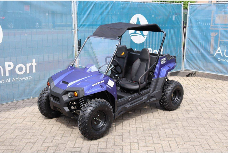 New Golf cart Wextrem UTV-ATV 200Pro: picture 8