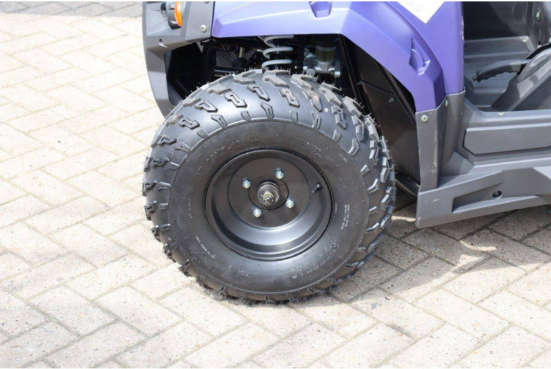 New Golf cart Wextrem UTV-ATV 200Pro: picture 14