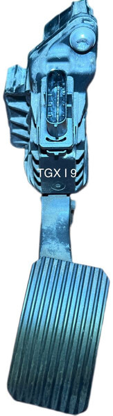 MAN 2019 - Pedal: picture 2 MAN 2019 - Pedal: picture 2