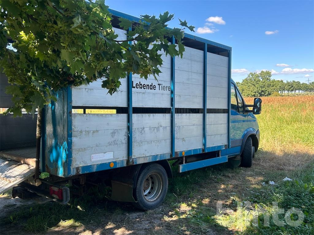 (2009) C65C IVECO - Livestock truck, Van: picture 3 (2009) C65C IVECO - Livestock truck, Van: picture 3