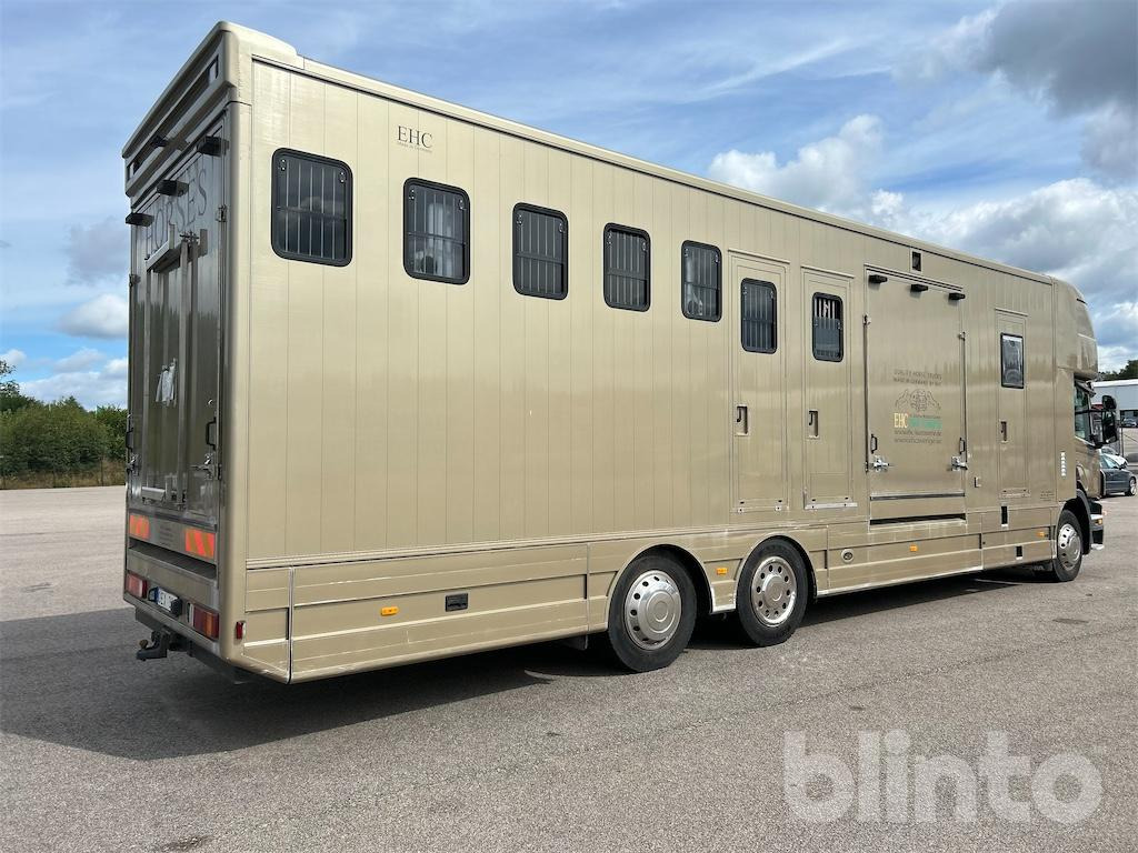 SCANIA P360DB6X2*4MNB - Horse truck: picture 4 SCANIA P360DB6X2*4MNB - Horse truck: picture 4