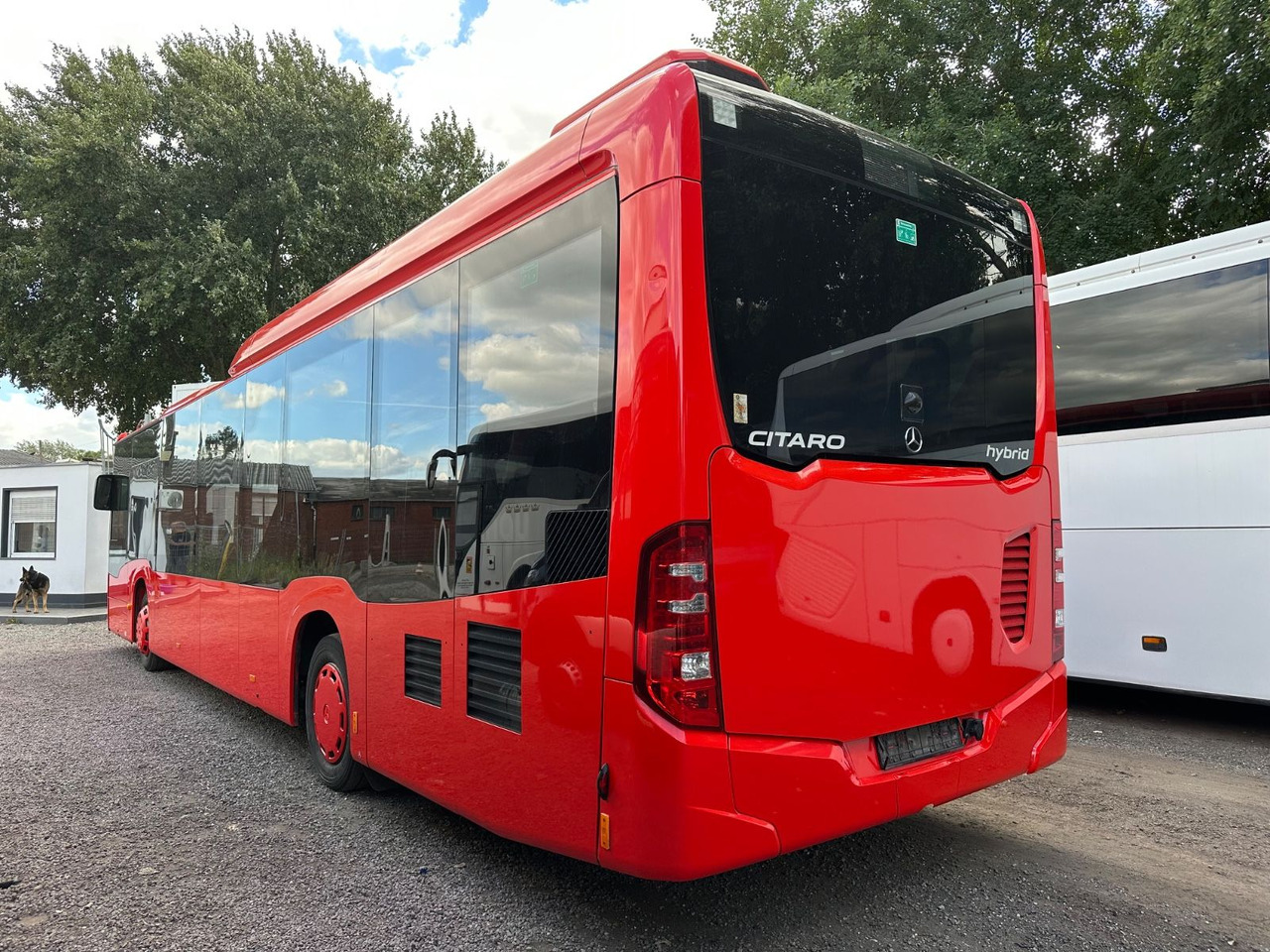 Mercedes-Benz O 530 C2 Citaro LE 260KW*Klimaanlage*Hybrid - City bus: picture 2 Mercedes-Benz O 530 C2 Citaro LE 260KW*Klimaanlage*Hybrid - City bus: picture 2